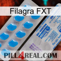 Filagra FXT new15